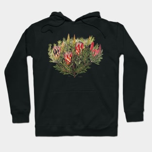 Protea Flowers, Native Australian floral print Hoodie